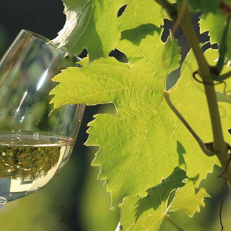 Weingut Rosenbaum Leilighet Briedel Eksteriør bilde