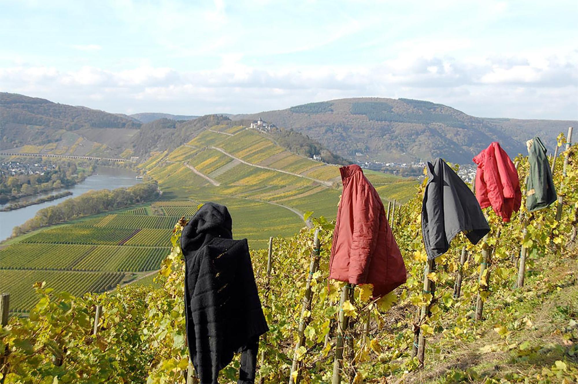Weingut Rosenbaum Leilighet Briedel Eksteriør bilde