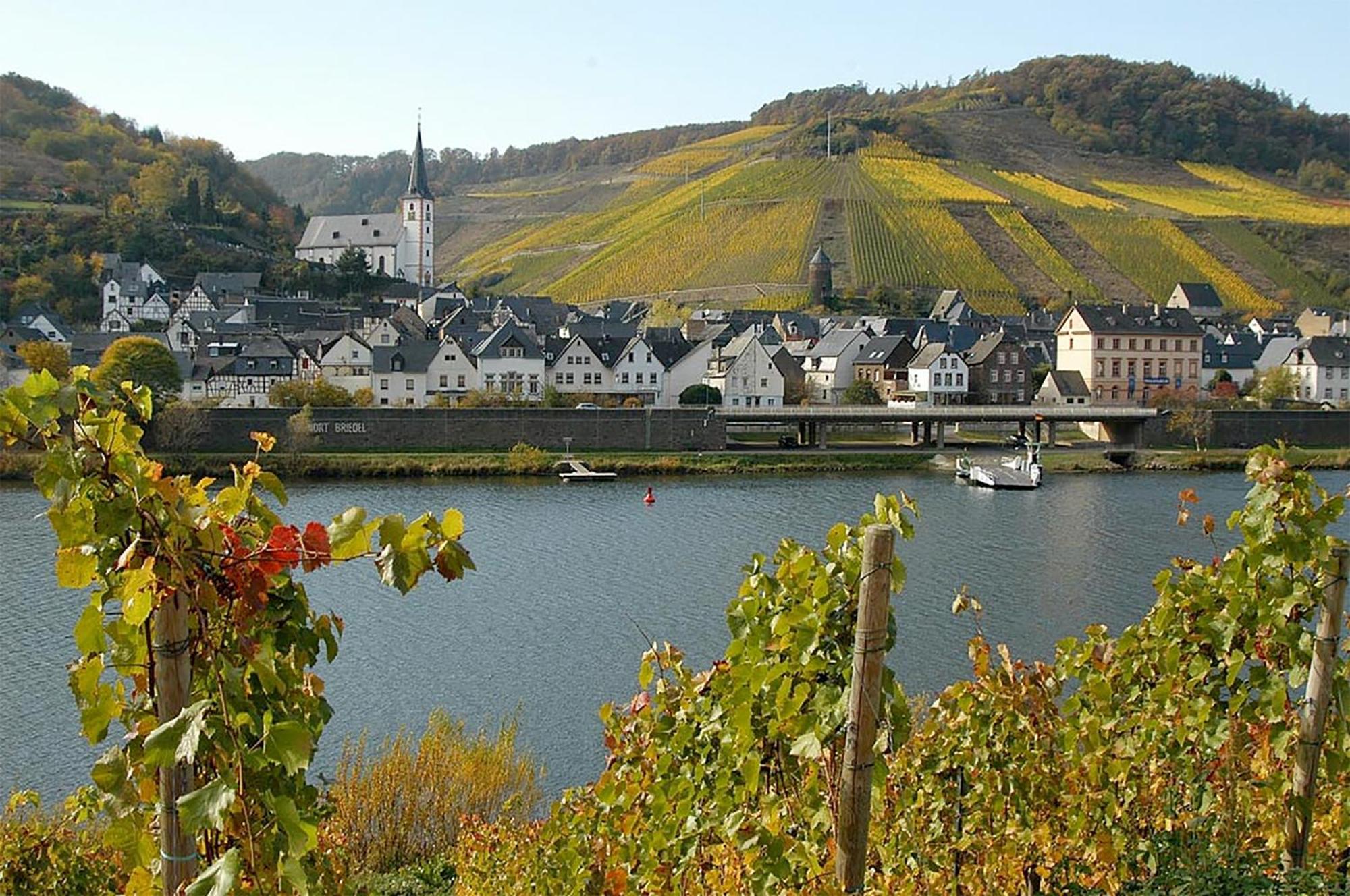 Weingut Rosenbaum Leilighet Briedel Eksteriør bilde