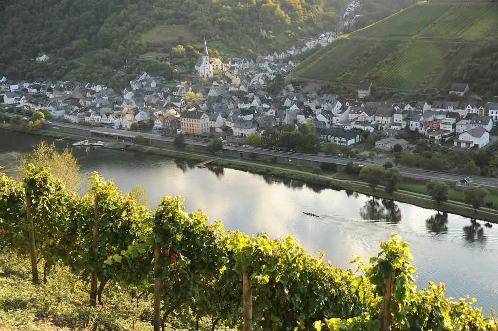 Weingut Rosenbaum Leilighet Briedel Eksteriør bilde