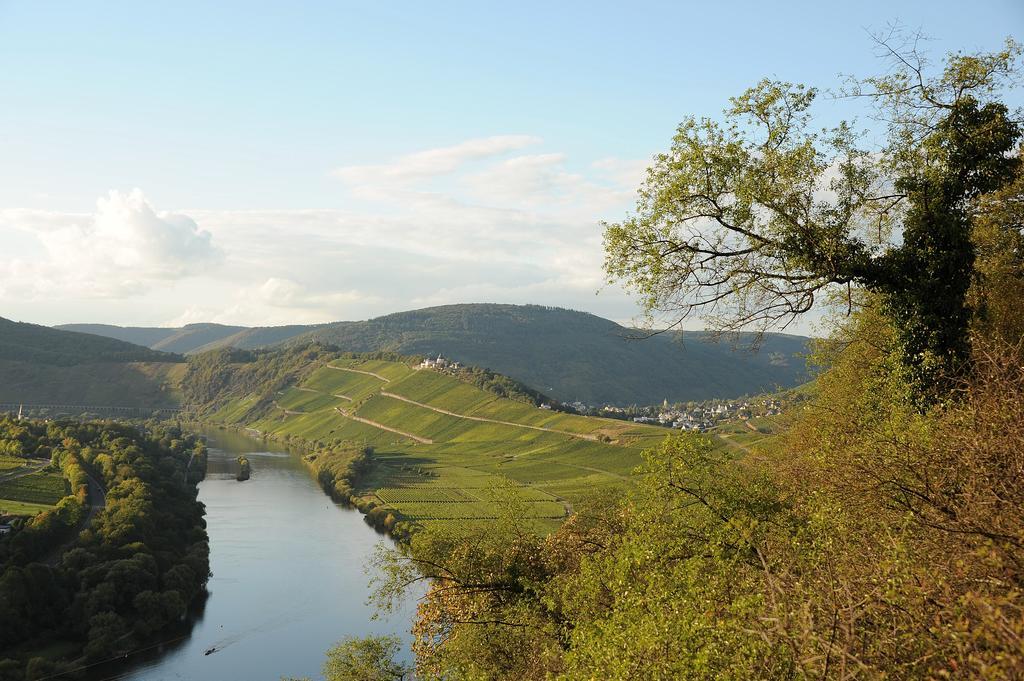 Weingut Rosenbaum Leilighet Briedel Eksteriør bilde