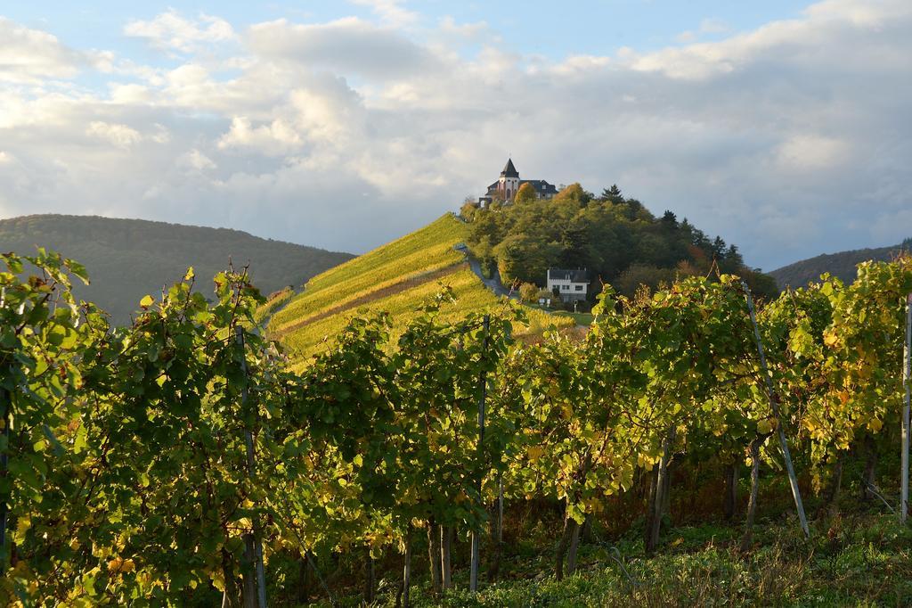 Weingut Rosenbaum Leilighet Briedel Eksteriør bilde